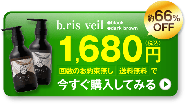 約66%OFF 1,680円（税込）