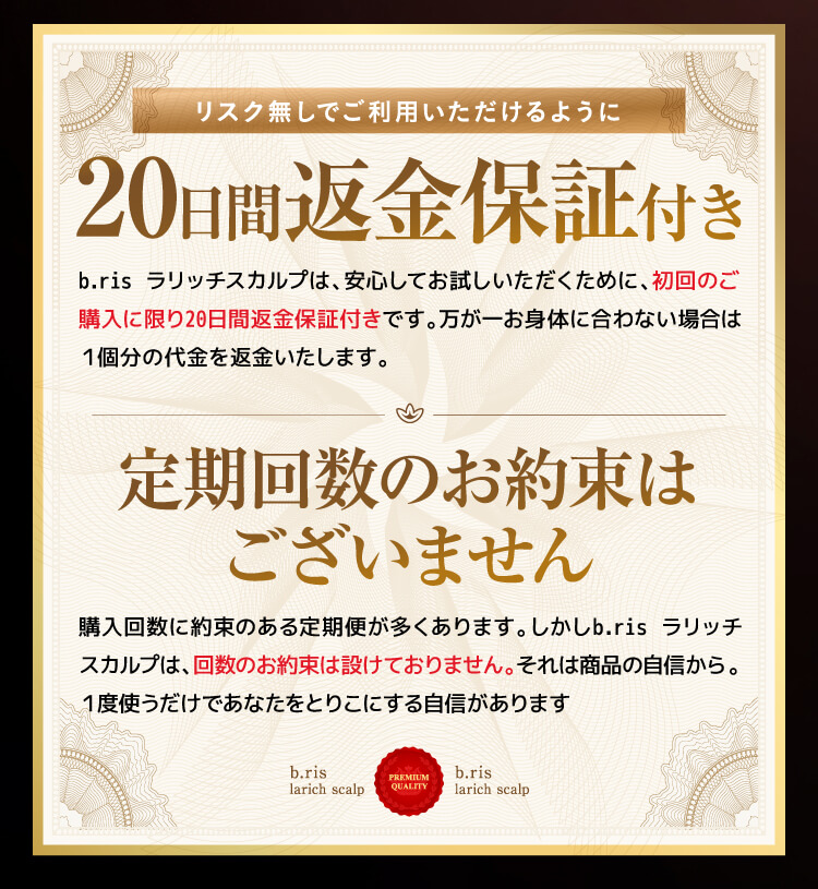 20日間返金保証付き