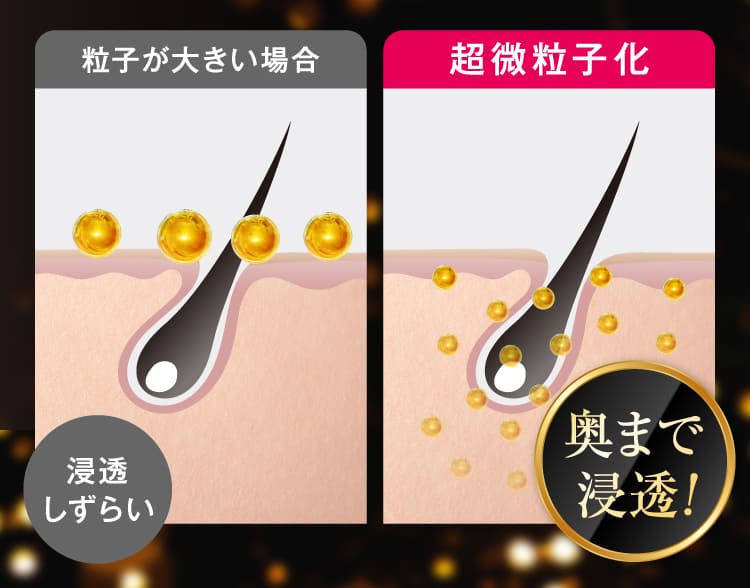 奥まで浸透！