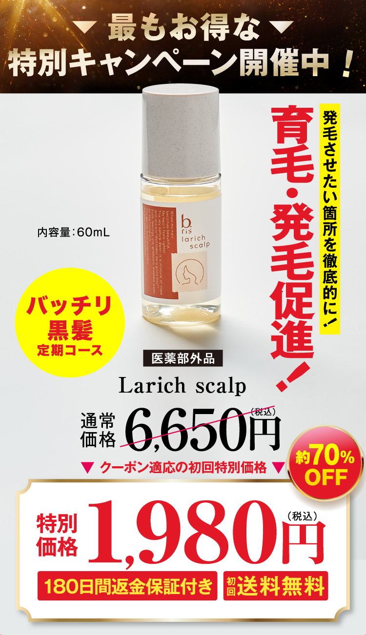 約70%OFF  1,980円(税込)