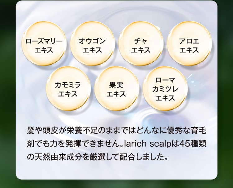 ローズマリーエキス オウゴンエキス チャエキス アロエエキス カモミラエキス 果実エキス ローマカミツレエキス