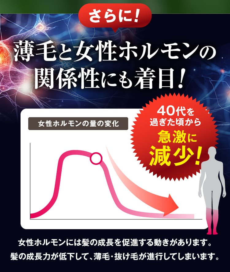 薄毛と女性ホルモンの関係性にも着目！