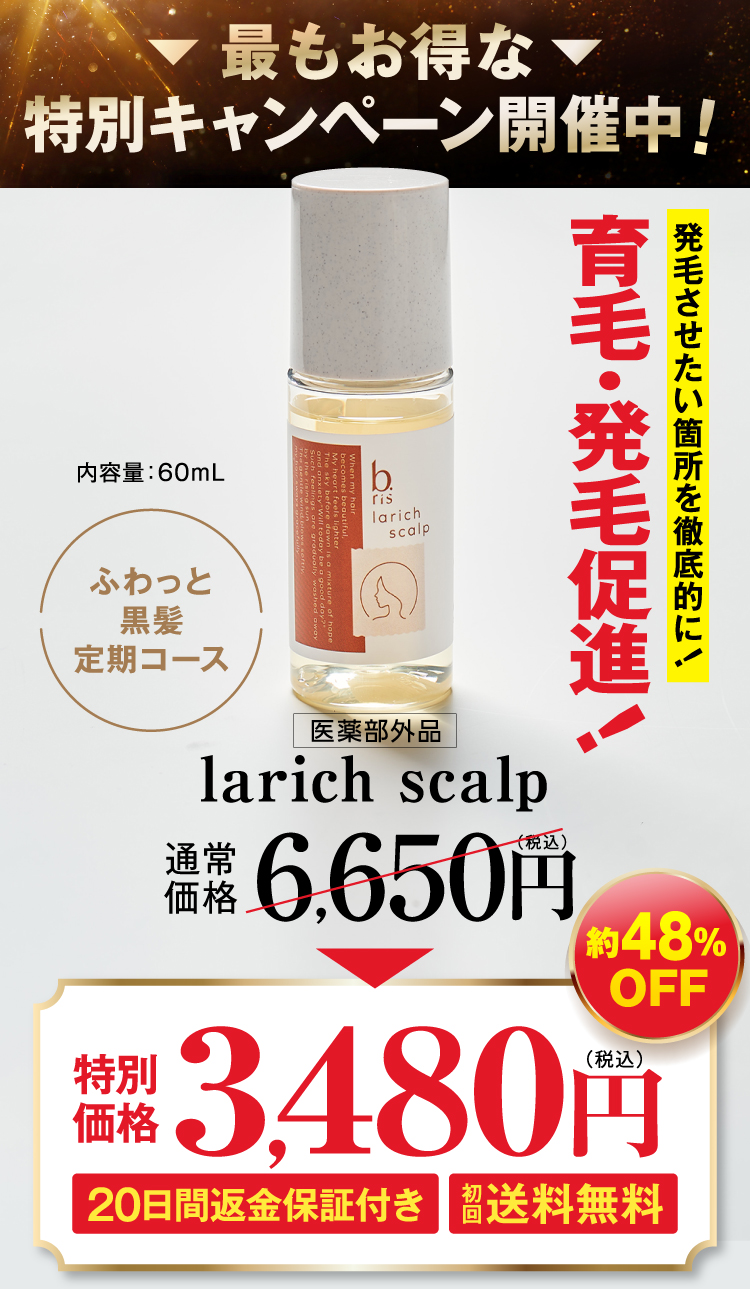 約70%OFF 1,980円（税込）