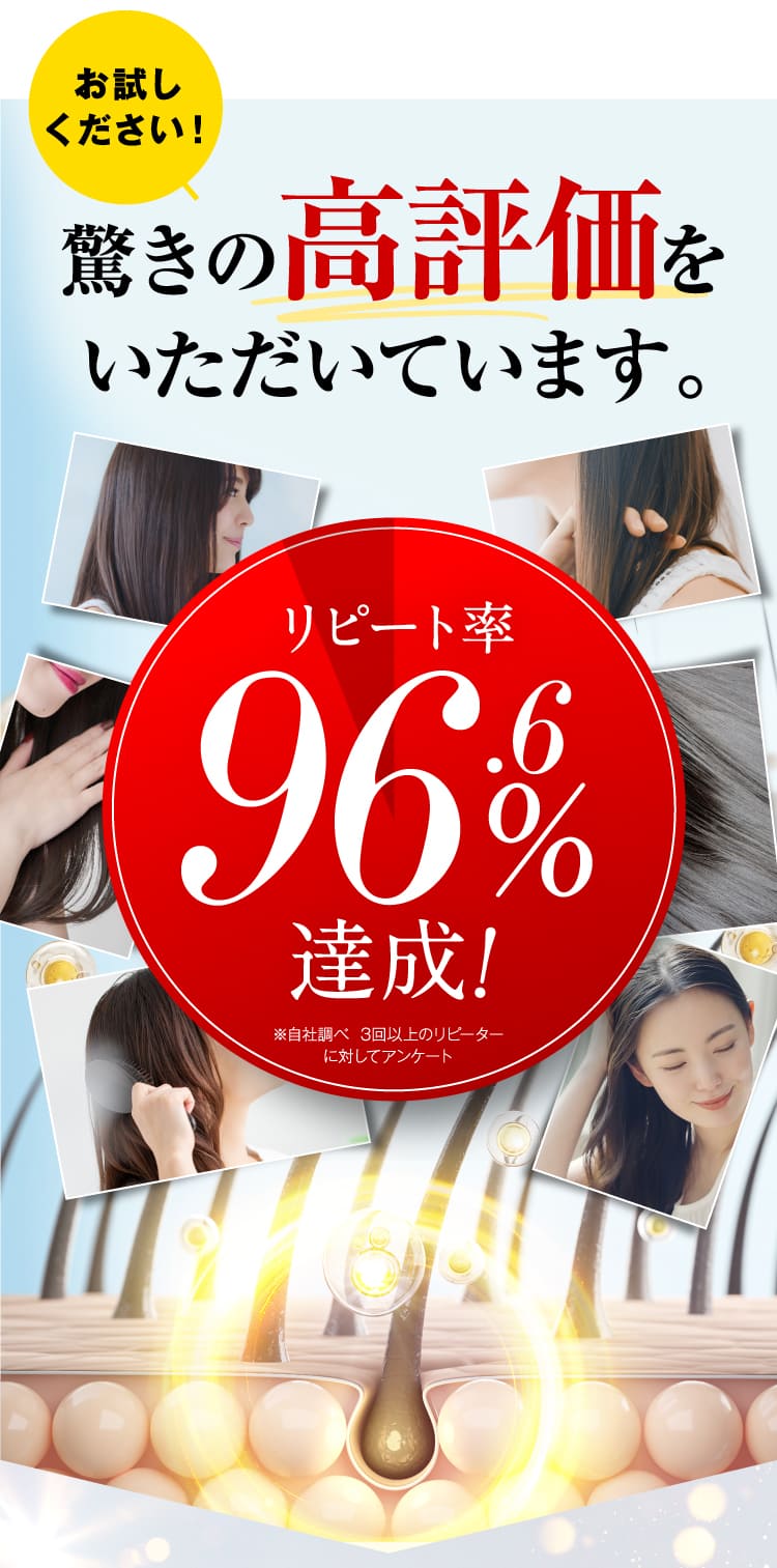 驚きの高評価をいただいています。