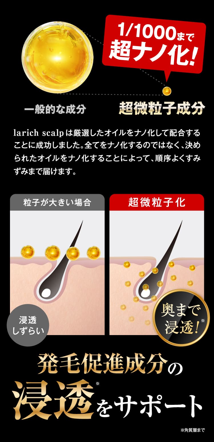 発毛促進成分浸透をサポート