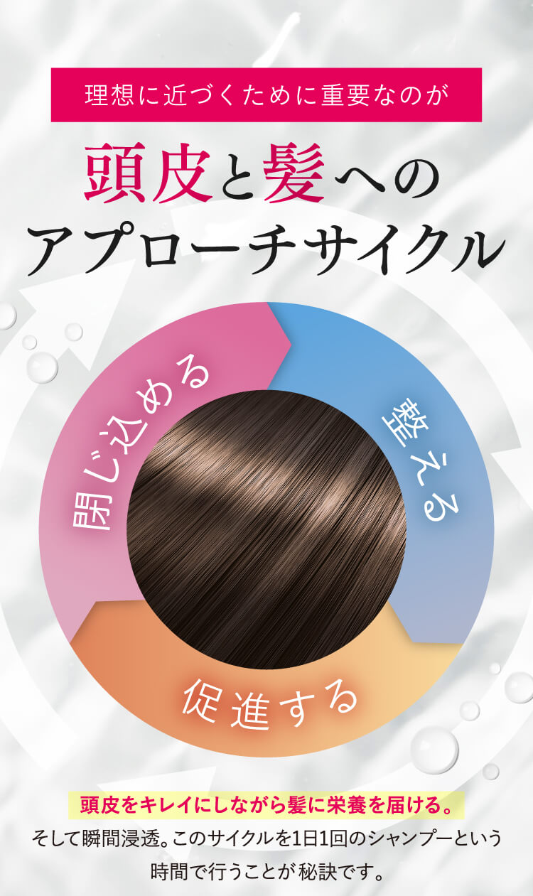 頭皮と髪へのアプローチサイクル