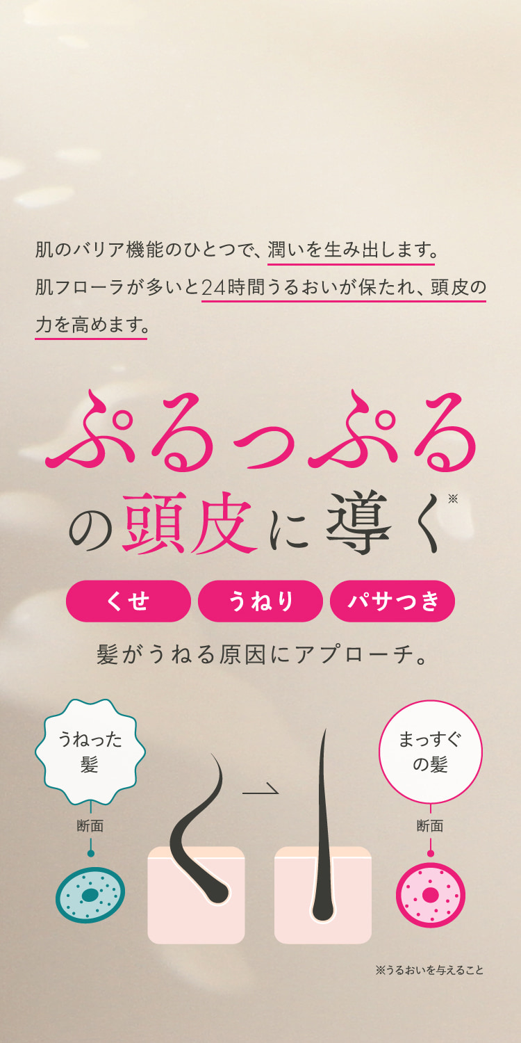 POINT2