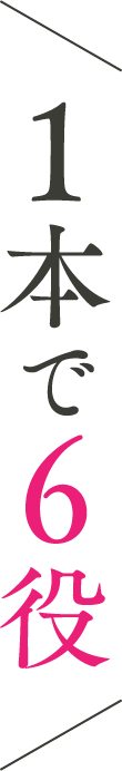 1本で6役