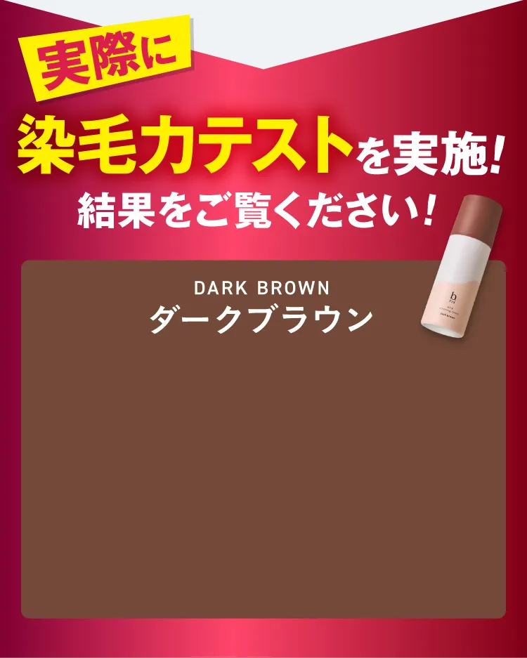 実際に染毛力テストを実施！結果をご覧ください！